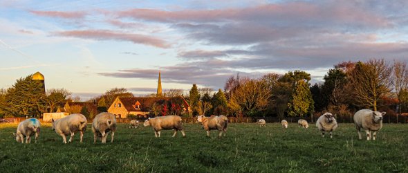 Waltham Thorpe Arnold Parish Council